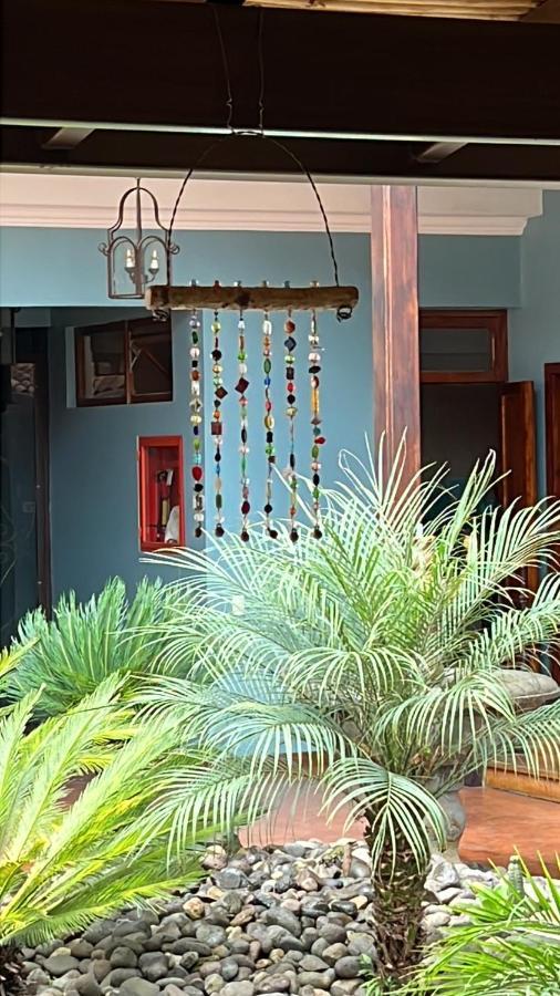 Casa Hibiscus Boutique Hotel كوينكا المظهر الخارجي الصورة