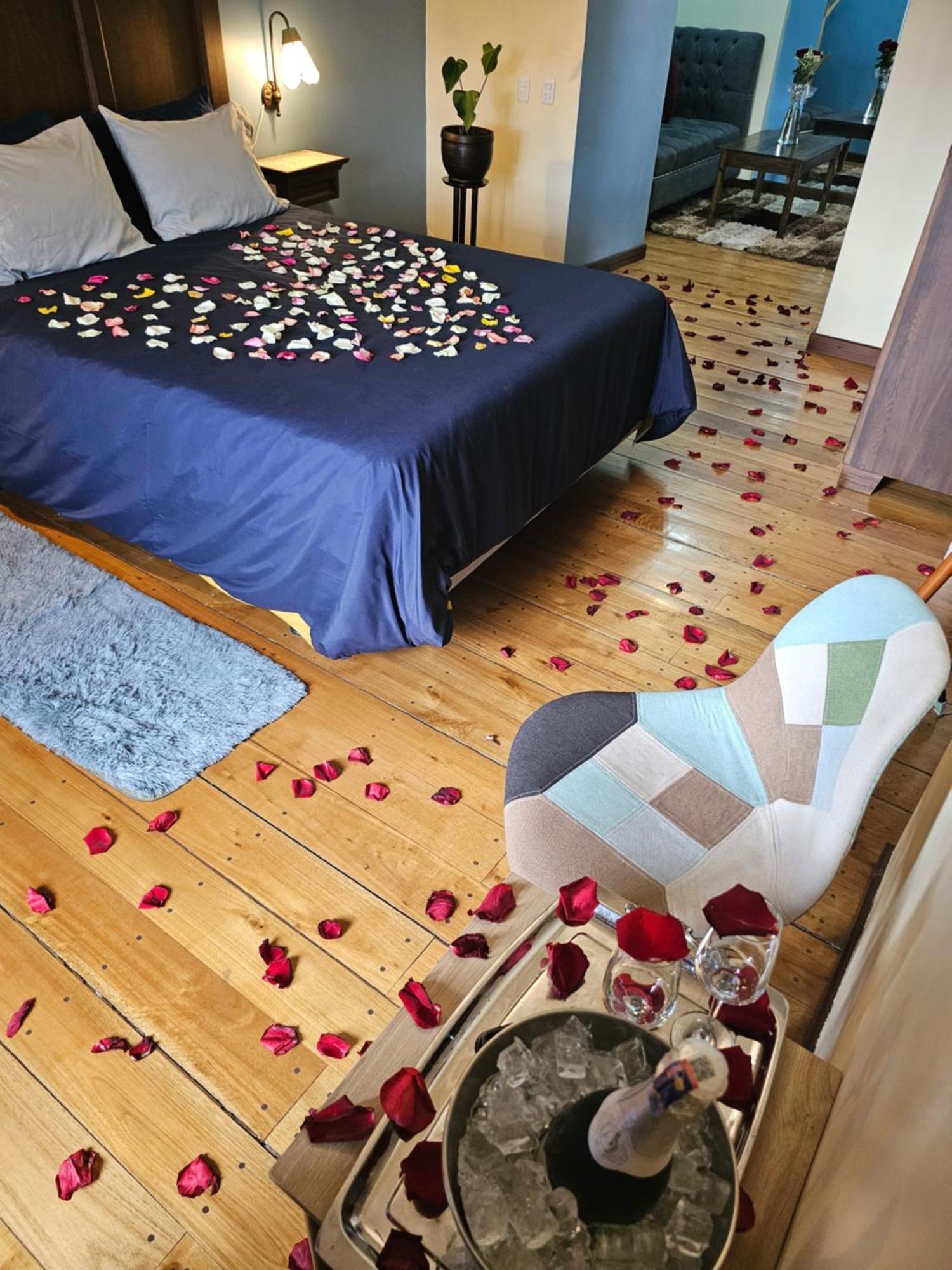 Casa Hibiscus Boutique Hotel كوينكا المظهر الخارجي الصورة
